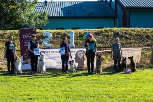 Mistrzostwa Polski PT3